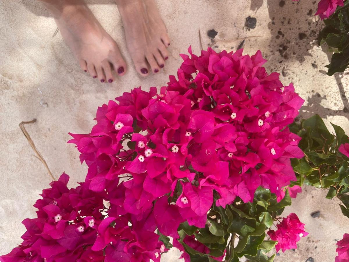 Villa Nº 25 Alfredo Marchetti Suites On The Beach,Praia De Chaves Bv Rabil Buitenkant foto